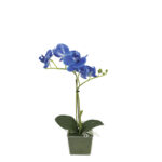 ΜΠΛΕ ΟΡΧΙΔΕΑ REAL TOUCH ΣΕ ΚΑΣΠΩ (2 ΚΛΑΔΙΑ, 5 ΑΝΘΗ) - Y30cm 6/ΚΙΒ