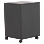 ΕΠΑΓΓΕΛΜΑΤΙΚΗ ΣΥΡΤΑΡΙΕΡΑ ΓΡΑΦΕΙΟΥ ΜΕ ΡΟΔΑΚΙΑ ROSEWOOD HM2108 40X40X66Y εκ.