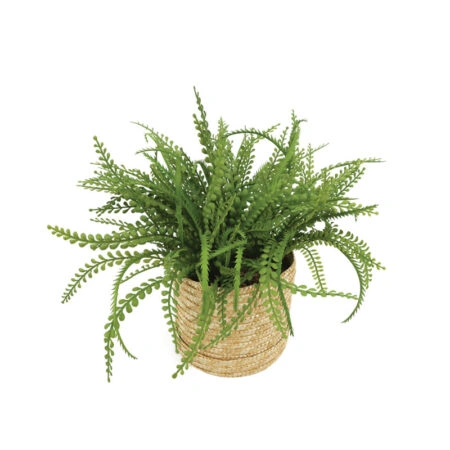 ΦΤΕΡΗ ΣΕ ΠΛΕΚΤΟ ΚΑΛΑΘΙ ΜΠΕΖ-ΠΡΑΣΙΝΟ Φ45x30cm 6/ΚΙΒ