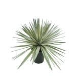 ΦΥΤΟ ΣΙΣΑΛ ΜΙΝΙ ΣΕ ΓΛΑΣΤΡΑ ΠΡΑΣΙΝΟ - Φ68x58cm 4/ΚΙΒ