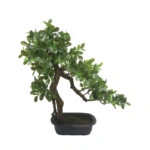 ΔΕΝΤΡΟ ΜΠΟΝΣΑΪ REAL TOUCH ΣΕ ΠΛΑΣΤΙΚΗ ΓΛΑΣΤΡΑ ΠΡΑΣΙΝΟ - 28x45x50cm 2/ΚΙΒ