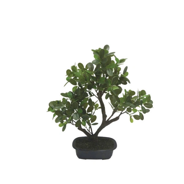 ΔΕΝΤΡΟ ΜΠΟΝΣΑΪ ΣΕ ΠΛΑΣΤΙΚΗ ΓΛΑΣΤΡΑ ΠΡΑΣΙΝΟ - 21x37x39cm 4/ΚΙΒ