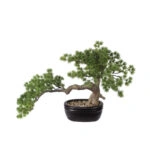 ΔΕΝΤΡΟ ΜΠΟΝΣΑΪ ΣΕ ΠΛΑΣΤΙΚΗ ΓΛΑΣΤΡΑ ΠΡΑΣΙΝΟ - 45x25x27cm 4/ΚΙΒ