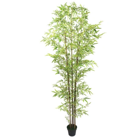 ΔΕΝΤΡΟ ΜΠΑΜΠΟΥ REAL TOUCH ΣΕ ΓΛΑΣΤΡΑ - Y300cm 2/ΚΙΒ