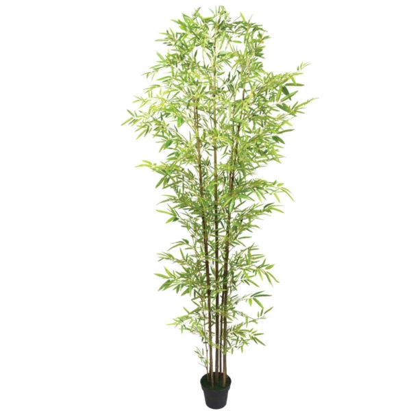 ΔΕΝΤΡΟ ΜΠΑΜΠΟΥ REAL TOUCH ΣΕ ΓΛΑΣΤΡΑ - 120x110x300cm 2/ΚΙΒ