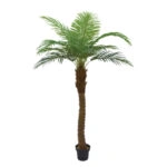 ΔΕΝΤΡΟ ΦΟΙΝΙΚΑΣ REAL TOUCH ΣΕ ΓΛΑΣΤΡΑ - 180cm 2/ΚΙΒ