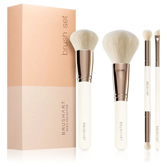 Σετ με πινέλα BrushArt Basic Brush set