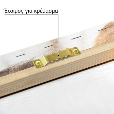 Πινακας σε καμβά με δική σου φωτογραφία οριζόντιος full - Πίνακες με δικες σου φωτογραφίες Sticky 5