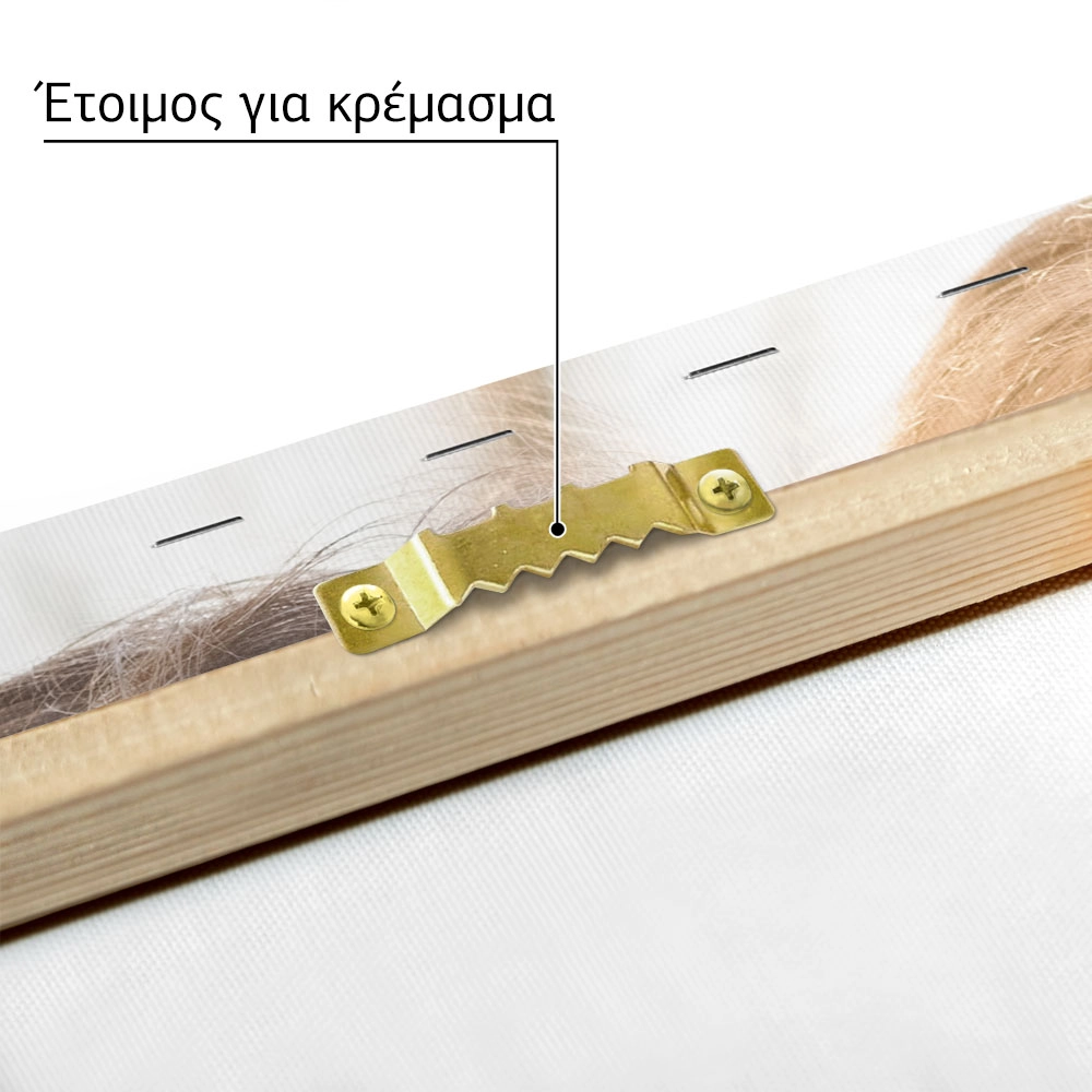 Πινακας σε καμβά με δική σου φωτογραφία οριζόντιος full