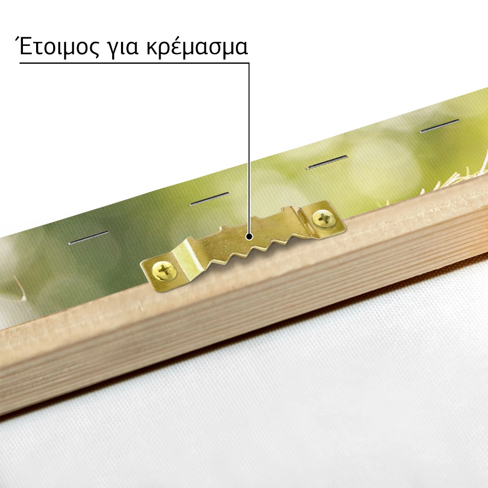 Πινακας σε καμβά με δική σου φωτογραφία καθετος full