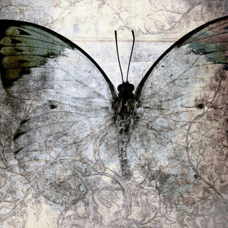 Πινακας σε καμβά ABSTRACT BUTTERFLY - Πεταλουδες Sticky 5