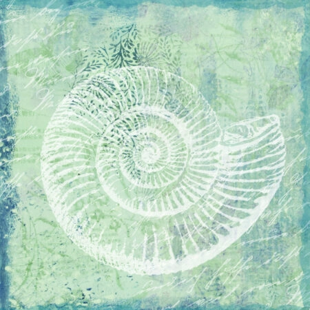 Πίνακας σε καμβά ARTWORK SHELL - Κοχυλια Sticky 5