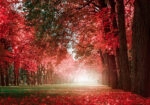Πινακας σε καμβά AUTUMN MYSTERY ROMANTIC ALLEY