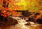Πινακας σε καμβά AUTUMN RIVER