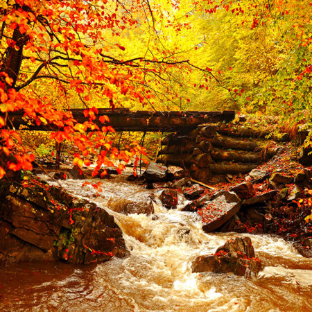 Πινακας σε καμβά AUTUMN RIVER - Λιμνες - Ποταμια Sticky 5