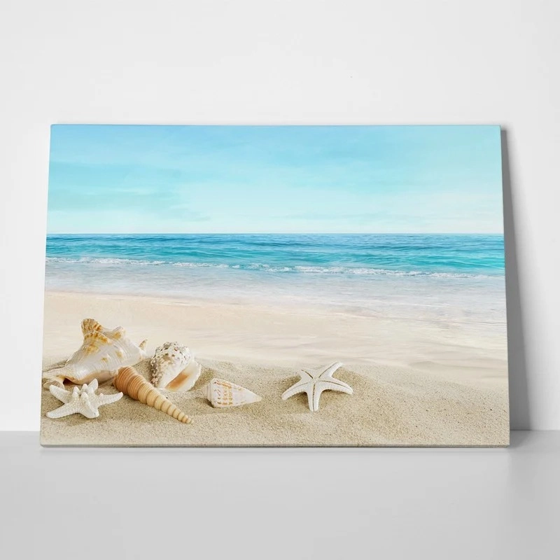 Πινακας σε καμβά BEACH SHELLS