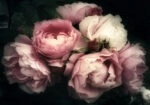 Πινακας σε καμβά BEAUTIFUL BOUQUET PINK ROSE FLOWERS