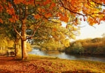 Πινακας σε καμβά BEAUTIFUL FALL PARK