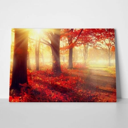Πινακας σε καμβά BEAUTIFUL AUTUMN PARK - Δασος Sticky 1