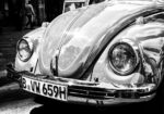 Πινακας σε καμβά BEETLE