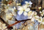 Πινακας σε καμβά BLOOMING SPRING