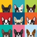Πίνακας σε καμβά BOSTON TERRIER DOG FULL COLOR