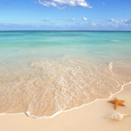 Πινακας σε καμβά CARIBBEAN BEACH - Παραλιες Sticky 6