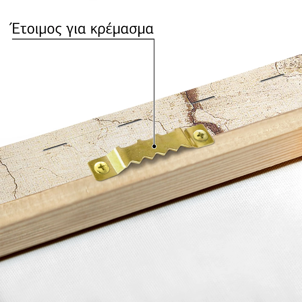 Πινακας σε καμβά MICHELANGELO - CREATION HANDS