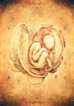 Πινακας σε καμβά DA VINCI - STYLE FETUS
