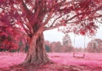 Πινακας σε καμβά FANTASTIC SWING ON TREE PINK