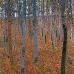 Πίνακας σε καμβά KLIMT - BEECH FOREST