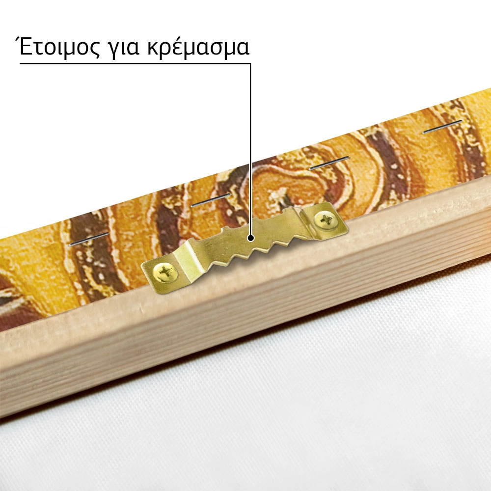 Πινακας σε καμβά KLIMT - TREE OF LIFE (DETAIL)
