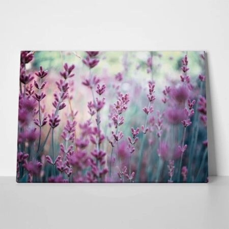 Πινακας σε καμβά LAVENDER - Floral - Λουλουδια Sticky 2