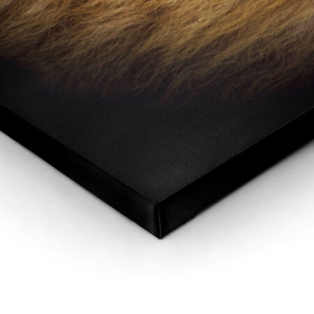 Πινακας σε καμβά LION PORTRAIT - Ζωα Sticky 2