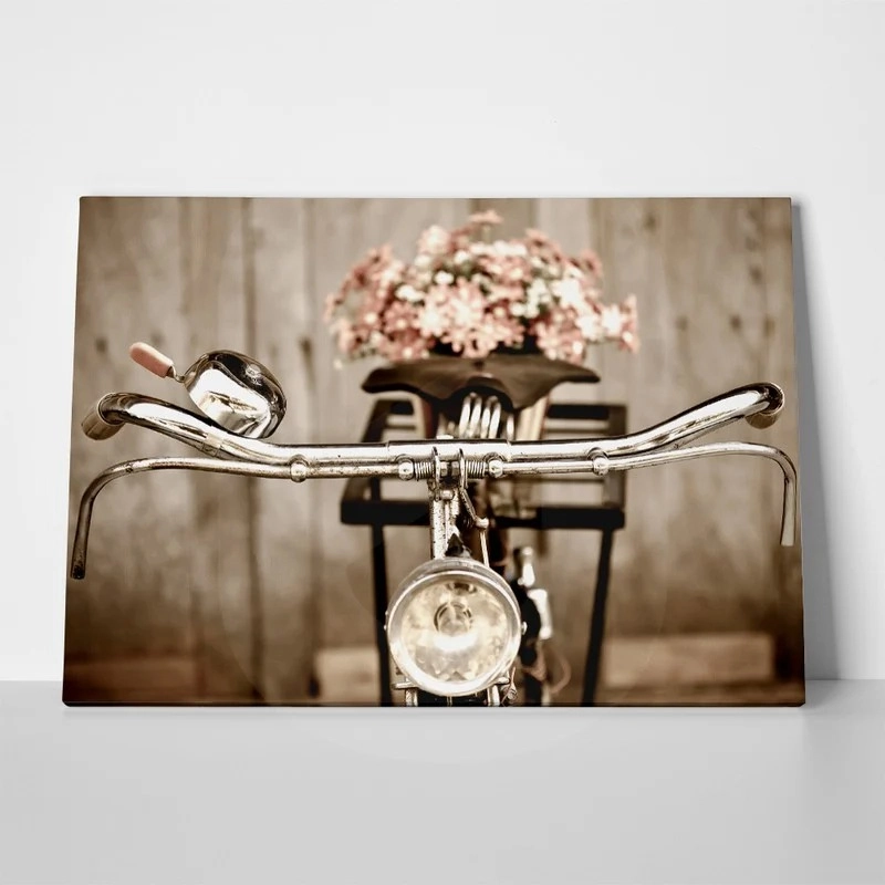 Πινακας σε καμβά LOVE BIKE