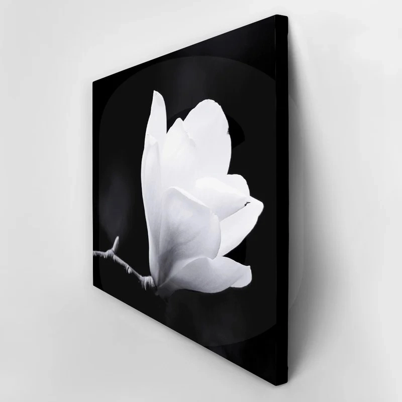 Πινακας σε καμβά MAGNOLIA