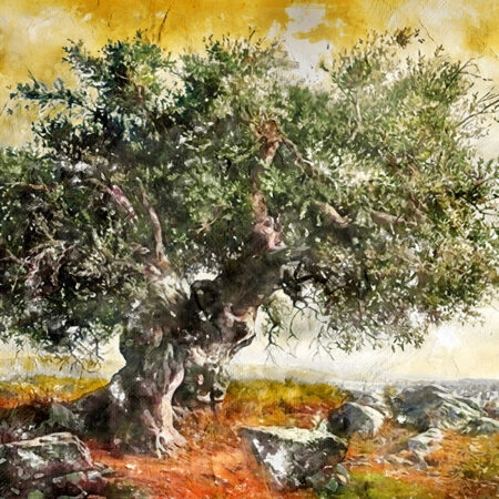 Πινακας σε καμβά OLIVE TREE PAINTING - Πινακες σε καμβα Sticky 6