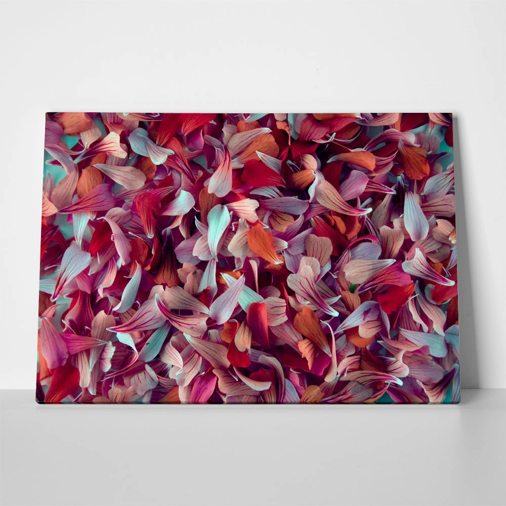 Πινακας σε καμβά PETALS 2