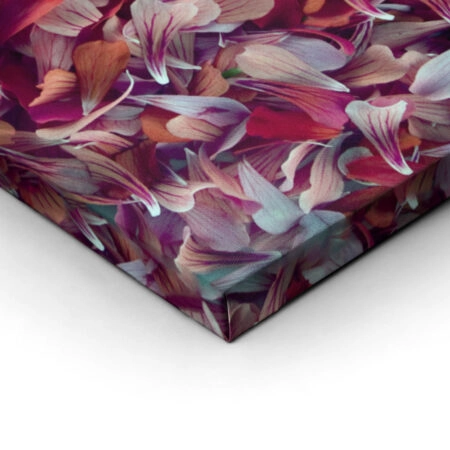 Πινακας σε καμβά PETALS 2 - Floral - Λουλουδια Sticky 2
