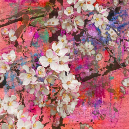 Πίνακας Τετράγωνος PINK BLOSSOMING APPLE - Ανθη Δεντρων Sticky 4