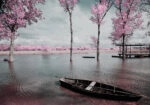 Πινακας σε καμβά PINK LAKE BOAT