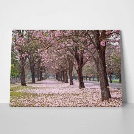 Πινακας σε καμβά PINK TRUMPET - Ανθη Δεντρων Sticky 1