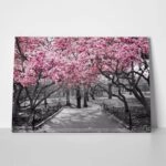 Πινακας σε καμβά PINK BLOSSOM PARK