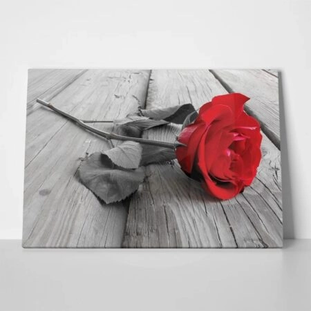 Πινακας σε καμβά Πίνακας RED ROSE - Τριανταφυλλα Sticky 1
