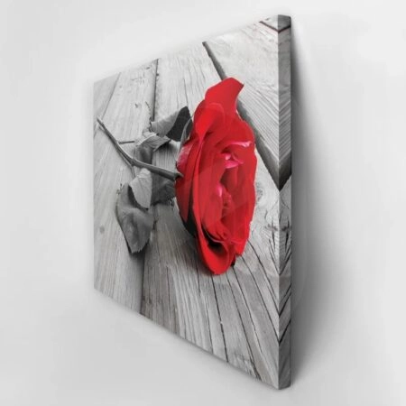 Πινακας σε καμβά Πίνακας RED ROSE - Τριανταφυλλα Sticky 5