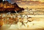 Πινακας σε καμβά ROCKS SUNSET