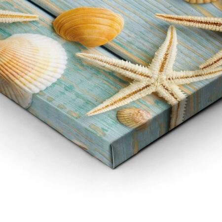 Πινακας σε καμβά SEA SHELLS FRAME - Κοχυλια Sticky 5