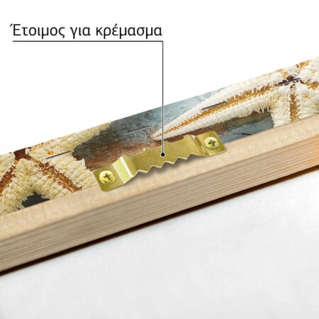Πινακας σε καμβά SEA SHELLS FRAME - Κοχυλια Sticky 8