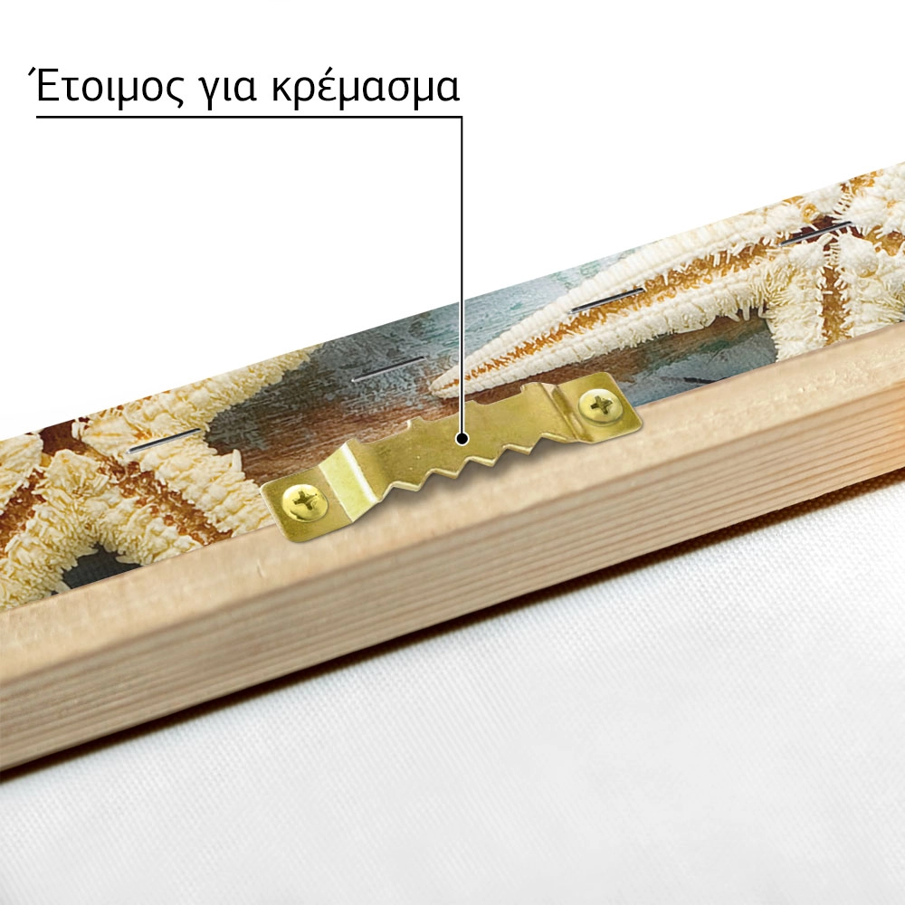 Πινακας σε καμβά SEA SHELLS FRAME