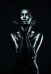 Πινακας σε καμβά SILVER LADY